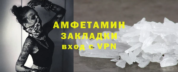молекула духа Бородино