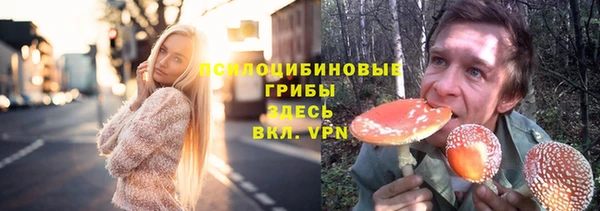 молекула духа Бородино