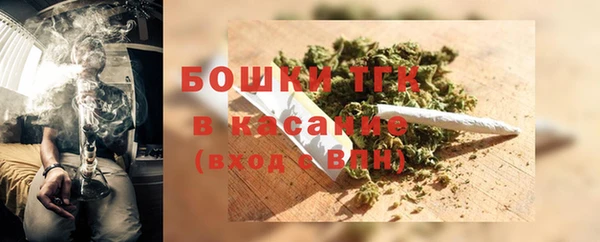 молекула духа Бородино
