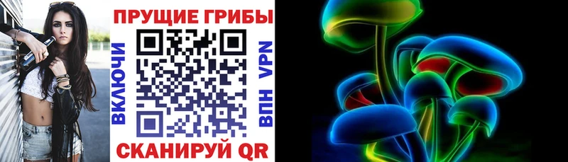 Псилоцибиновые грибы мицелий  купить   blacksprut сайт  Томари 